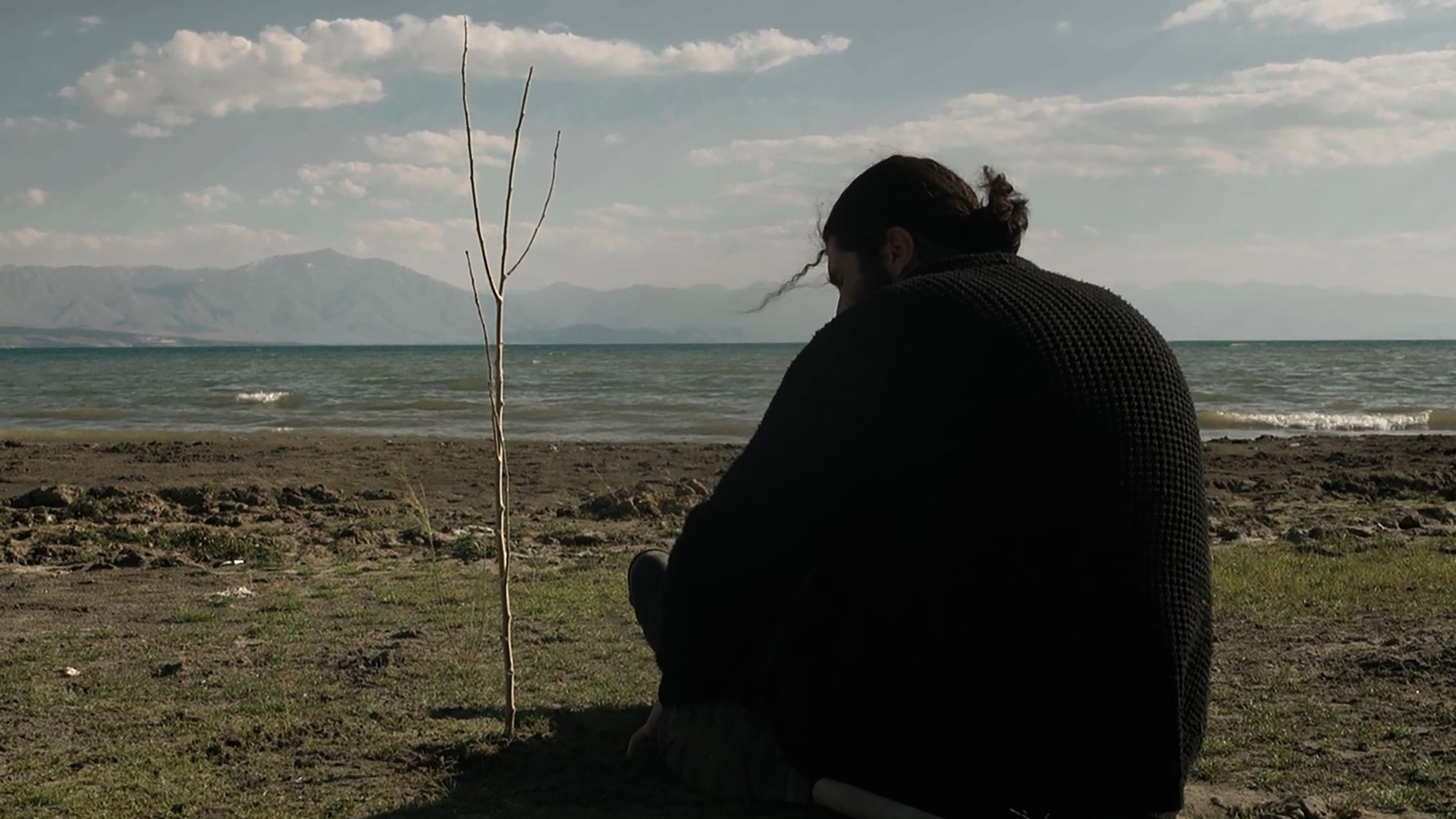 Kavak Ağacının Gölgesinde görsel 3